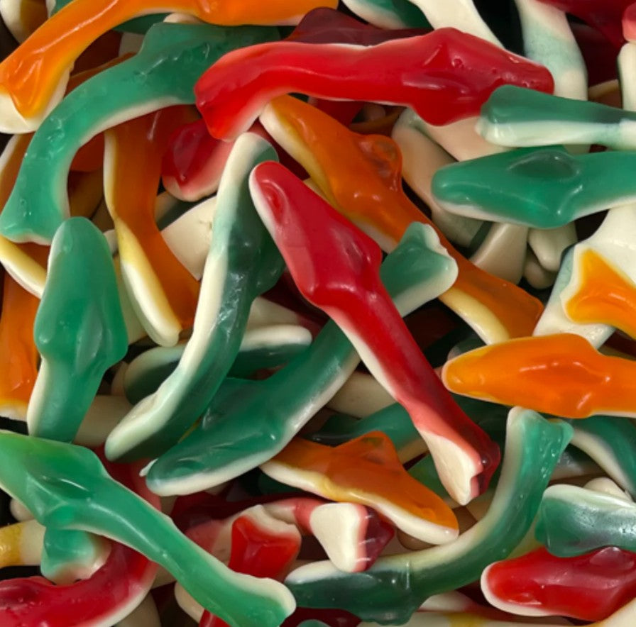 Damel kleurrijke haaien