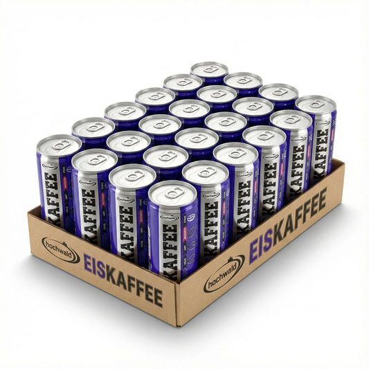 24x Hochwald Eiskaffee Dose á 250ml  (6L)