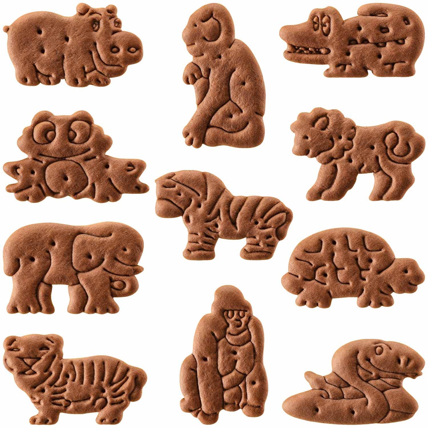 Leibniz Animaux de cacao du zoo