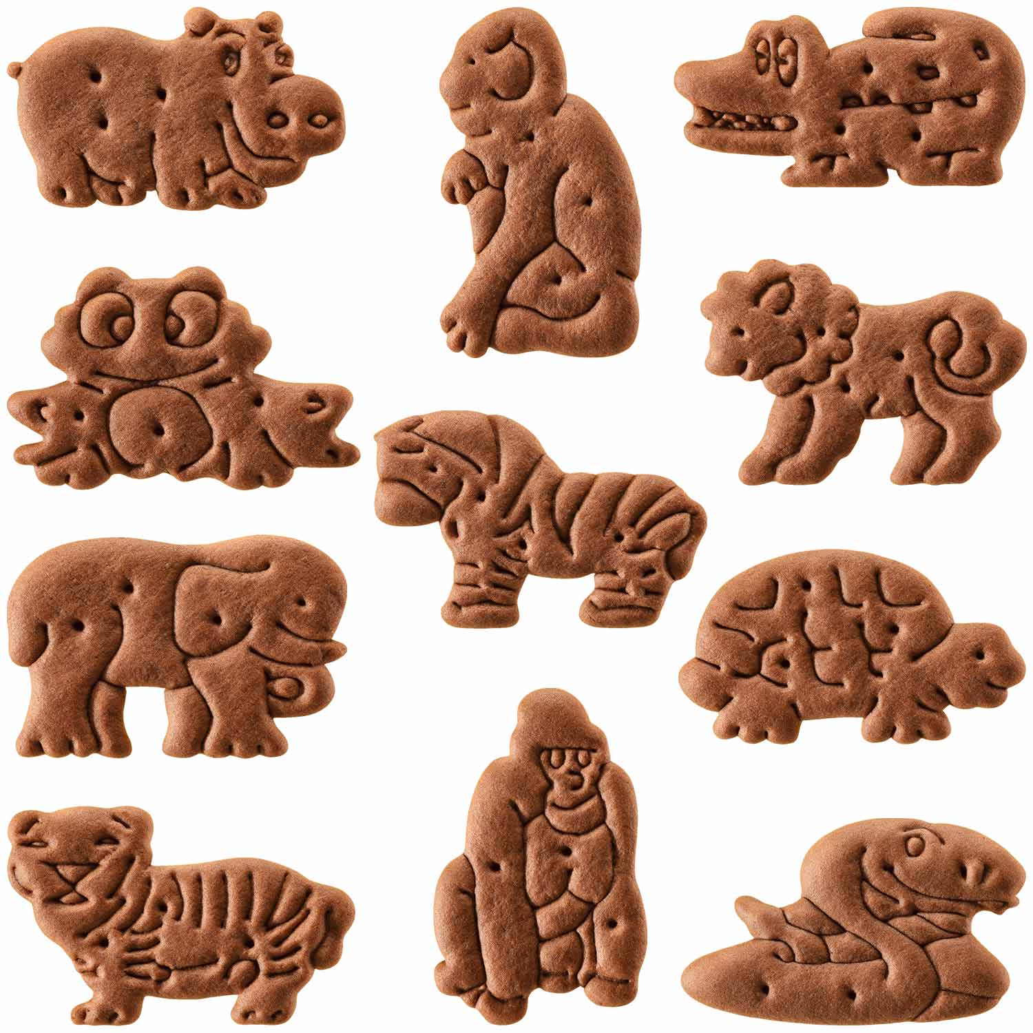 Leibniz Animaux de cacao du zoo