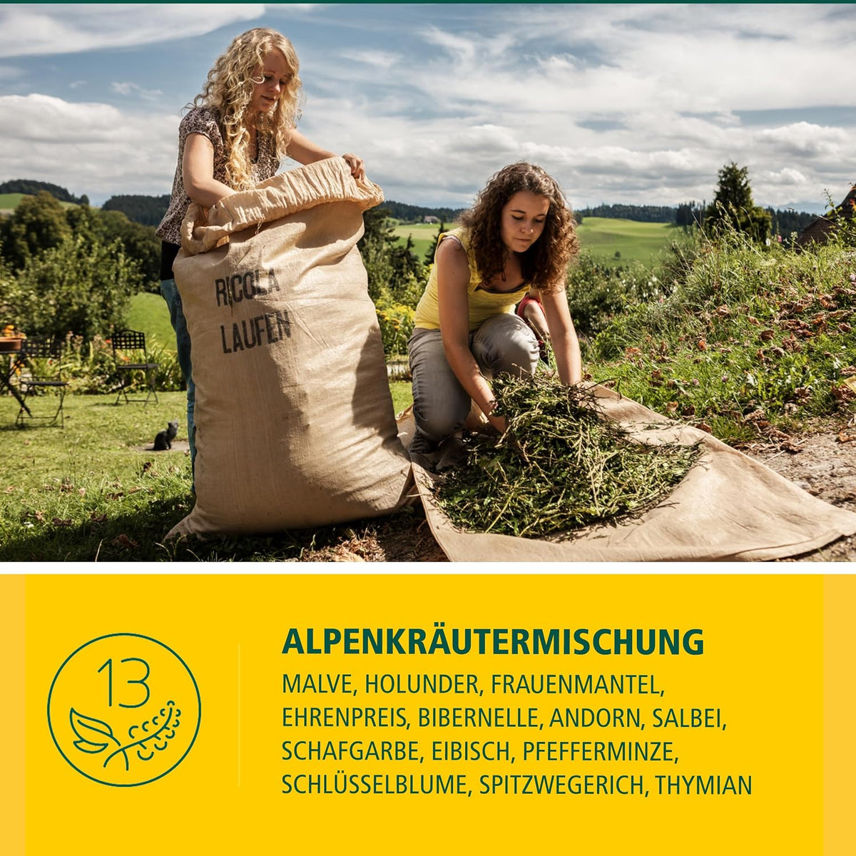 Ricola Schweizer Kräuter-Bonbons mit 13 Schweizer Alpenkräutern