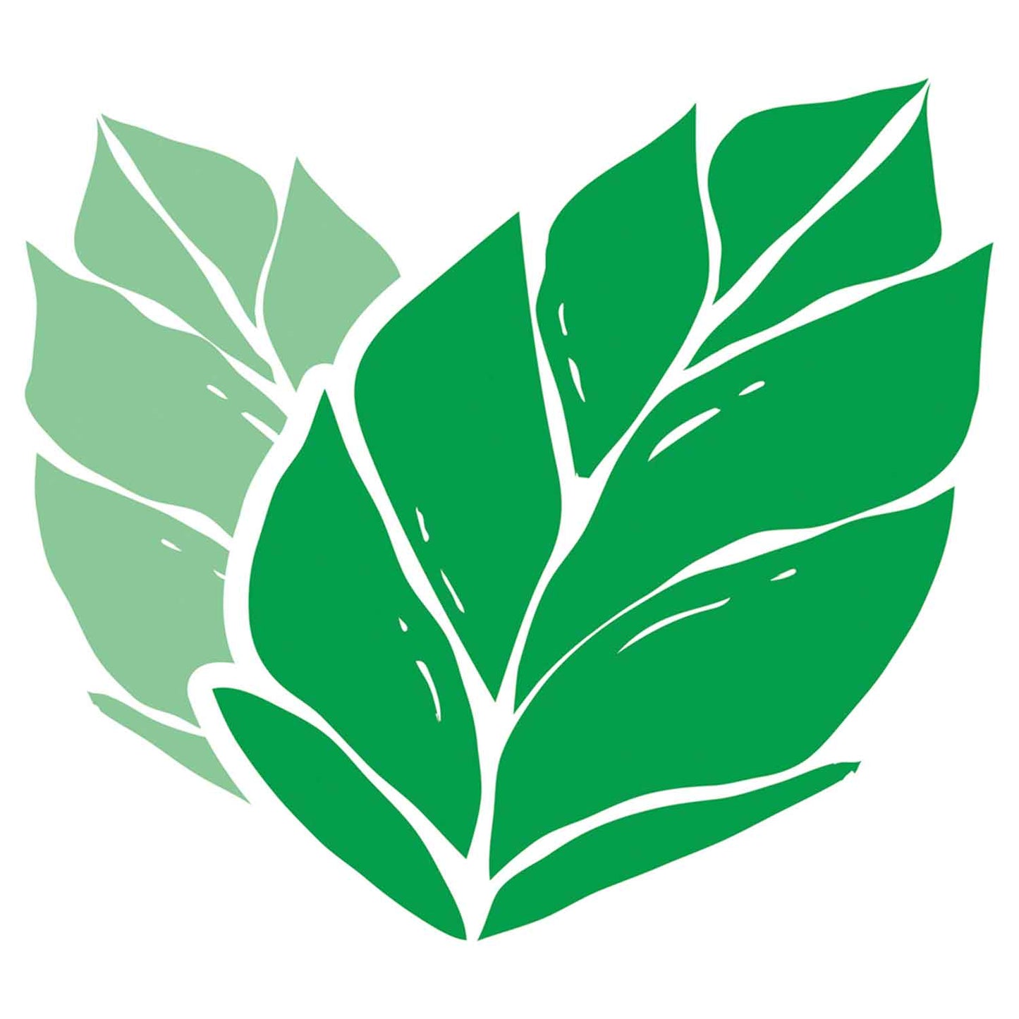 tic tac Fresh Mint 98g MHD:24.07.2026